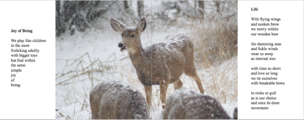 Screen Shot 2019-03-13 at 7.29.15 PM